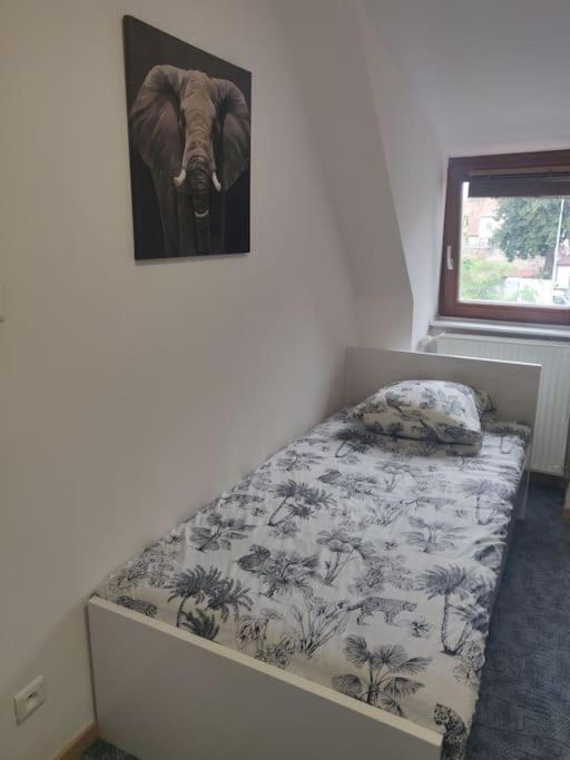 Tres Bel Appart Charmant 85M2 Parking Gratuit Мольсайм Экстерьер фото